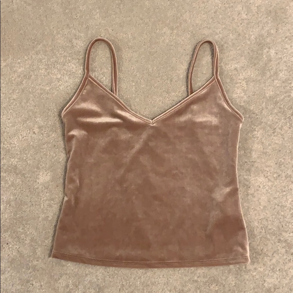 Cropped blush velvet top